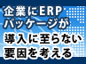 �y��6��z�����ƌ���ERP�̓������������<br>�����E�̔��E�݌ɏ����ꌳ�����Đ��Y�Ǘ��̐��̔��{���v�����{�i��ҁj