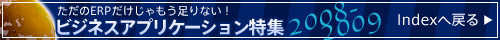�r�W�l�X�A�v���P�[�V�������Windex�y�[�W