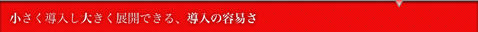 �������������傫���W�J�ł���A�����̗e�Ղ�
