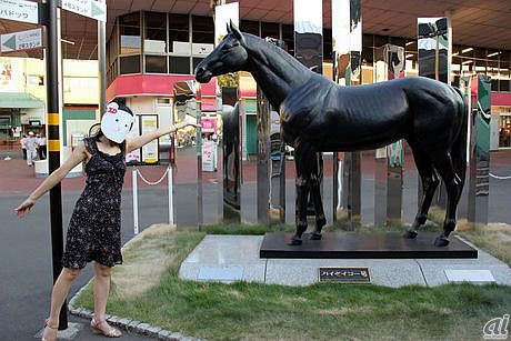 TCKには、この競馬場でデビューした名馬ハイセイコーの像があるのよ。競馬に詳しくないZiddyでさえハイセイコーの名前は知ってるわ。きっととっても人気があったのね。