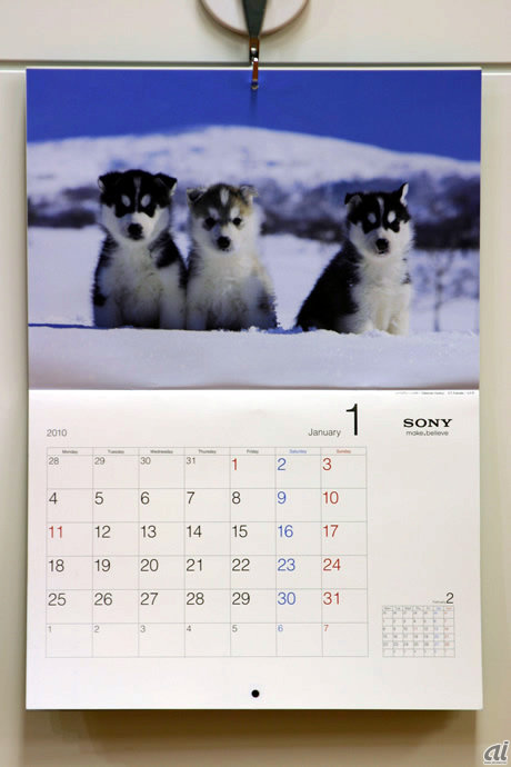 　渋い浮世絵から一転。こちらはソニーの壁掛けカレンダー「かわいい世界の仔犬」。毎月カレンダーから向けられるつぶらな子犬の瞳に、わんこ好きの心はわしづかみです。ちなみに、こちらのカレンダーはZDNet編集部の犬好きF記者が、自宅で1年間使うことに決めたそうです。