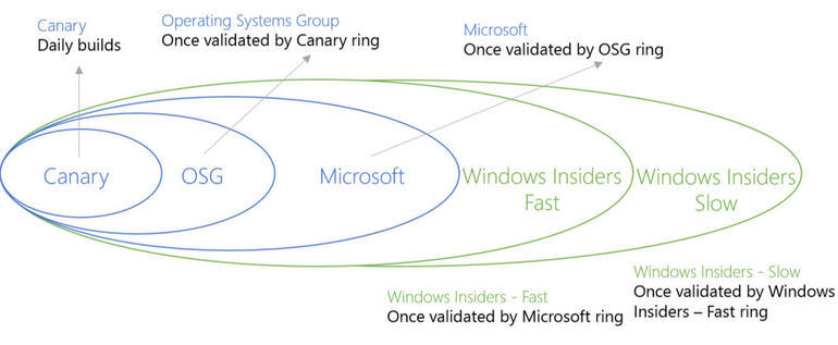 MicrosoftはWindows 10の開発および配備プロセスの一環として、自社内でも「リング」と呼ばれる複数のグループを設けている