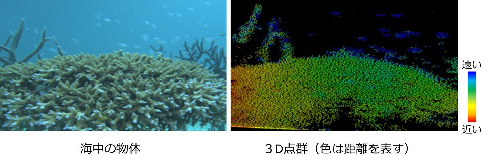 画像鮮明化AI技術によるサンゴ礁の精密な3次元形状データ化