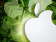 Mac�̃V�F�A�A�}���Ɋg�咆--Vista�͐U��킸