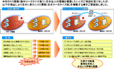 海外ローカライズされたDynamics AXをリモート接続により操作する。商習慣の違いや障害発生時の対応などによる課題は多い