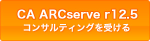 CA ARCserve r12.5 コンサルティングを受ける