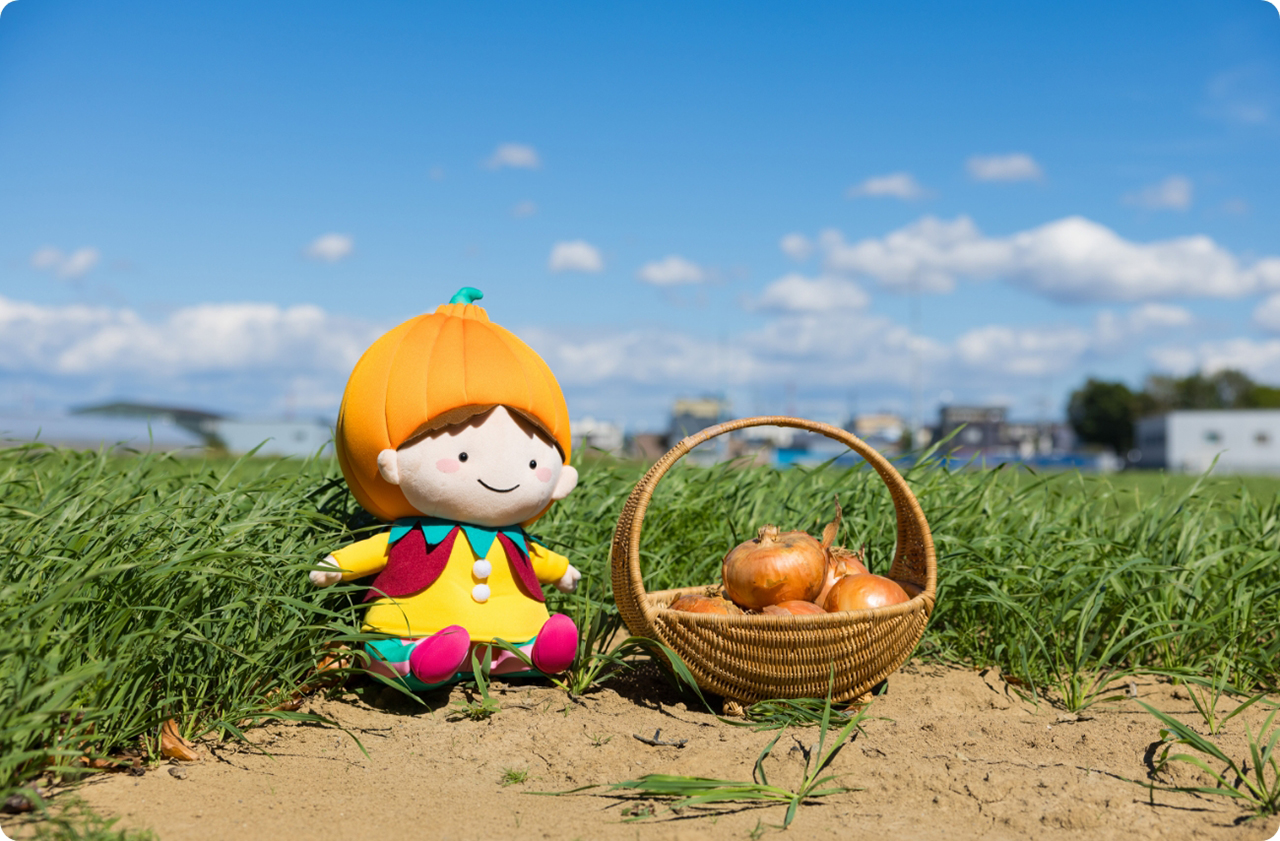 札幌黄（さっぽろき）は、日本最古級の在来タマネギで、札幌市東区マスコットは、玉ねぎの妖精「タッピー」が親しまれている