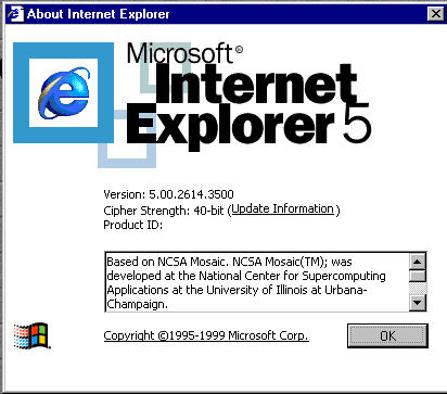 　Microsoftは1995年11月、Windows版とMac版のInternet Explorer 2をリリースした。 このバージョンはJavaScript、フレーム、SSL（Secure Socket Layer）、クッキー、ニュースグループ（NNTP）をサポートしている。ちなみにこれは実際にはバージョン2と記載されているが、NSCA Mosaicのバーションナンバーの体系が括弧内に表示されている。