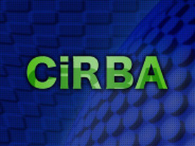 CiRBAを中核とした仮想化アセスメントサービス活用で社内システムを見える化し、効率的な仮想化を実現