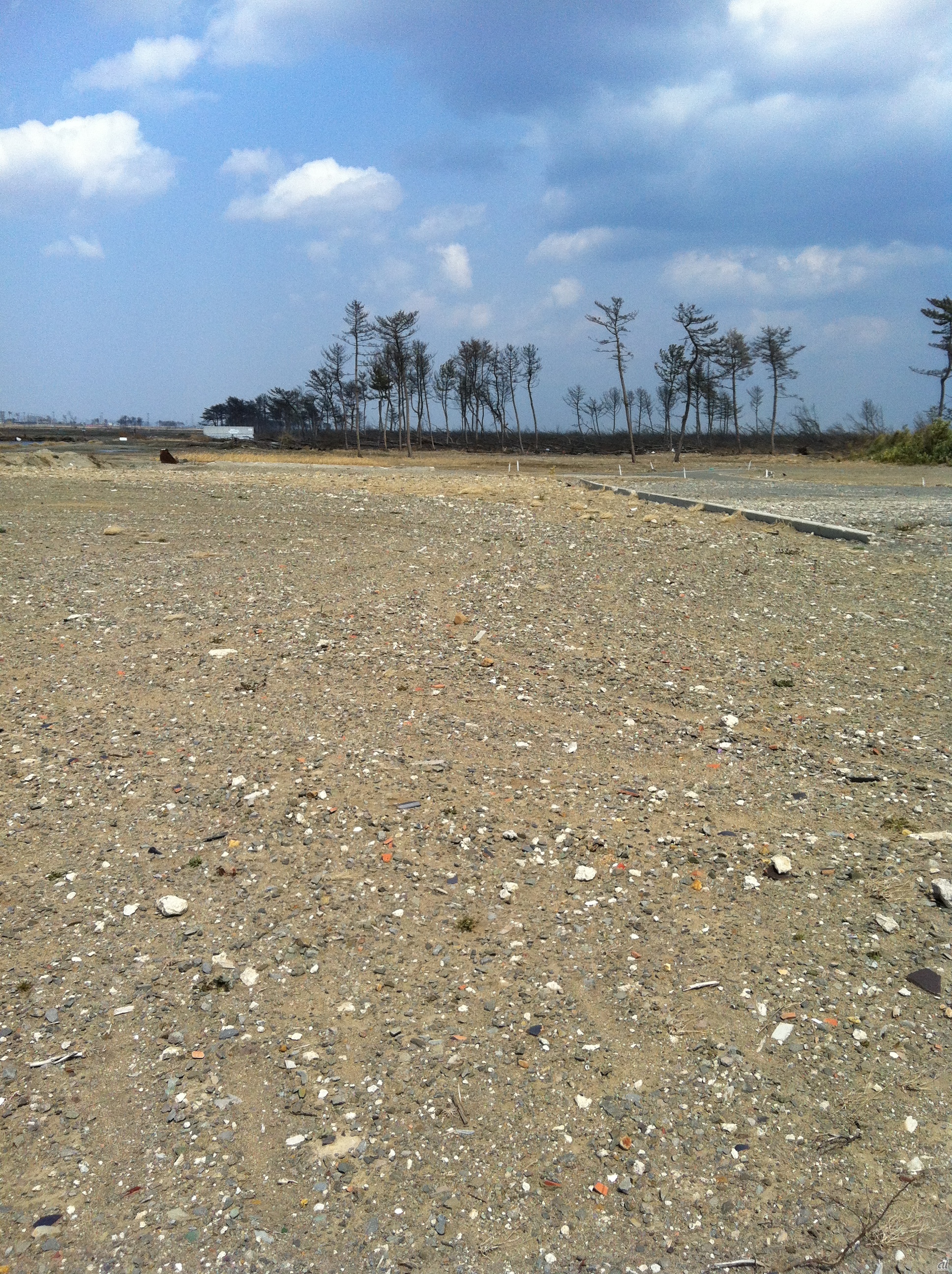 被災した今年3月ころの仙台空港そばの海岸