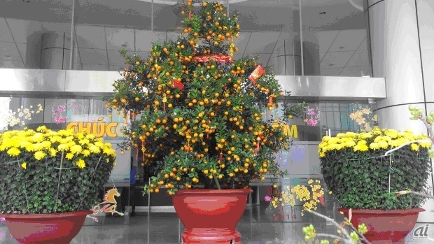 ベトナムでは、黄色の菊の花は「長生き・幸福・幸運」のシンボル、小さいミカンの木は「繁盛・繁栄」のシンボル。これらを縁起物として、テトの間、家庭や会社の玄関に飾る。
