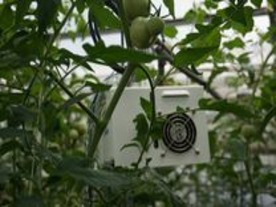 トマト栽培にM2Mを活用--温度などをセンサで収集、収穫量との相関を分析