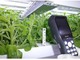 農業向けSaaS「Akisai」に植物工場向け生産管理--端末で作業記録、履歴を管理