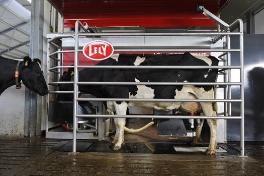 Milkbots

　牛の乳搾りをするロボットは、この農場をすぐに乗っ取るだろう。このロボットを使えば、牛はえさにつられて、いつでも好きなときに搾乳のために列に並ぶようになる。センサが牛の乳房を検知して、乳搾りをする。このシステムは安くはない。100頭の牛に対応する2台のロボットを備えたシステム1式が120万ドルだった。