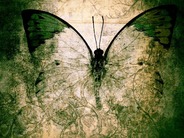 恐るべき産業スパイ組織「Butterfly」--その実体を探る