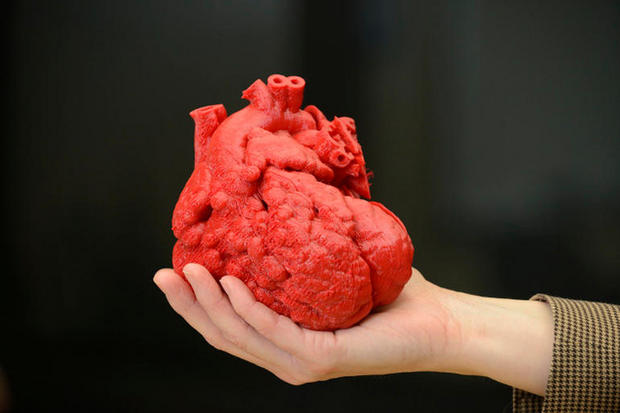 体内に取り込むテクノロジ

　3Dプリンタ技術は人間の臓器を複製するうえで重要な役割を担うようになり、2024年までには3Dプリンタで製造された肝臓の移植が試みられるだろう。

　臓器のプリントによってドナー不足という問題の解決にめどが立ち、より効果的かつ患者に合わせた治療が可能になるものの、長期的に見ると臓器の違法な製造が増加する可能性もある。