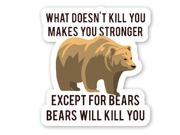 死にさえしなければ、難局はあなたを強くする。ただし熊はあなたを殺す。

　ことわざに大した意味などない。ただし、熊の危険性に関することわざは別だ。
