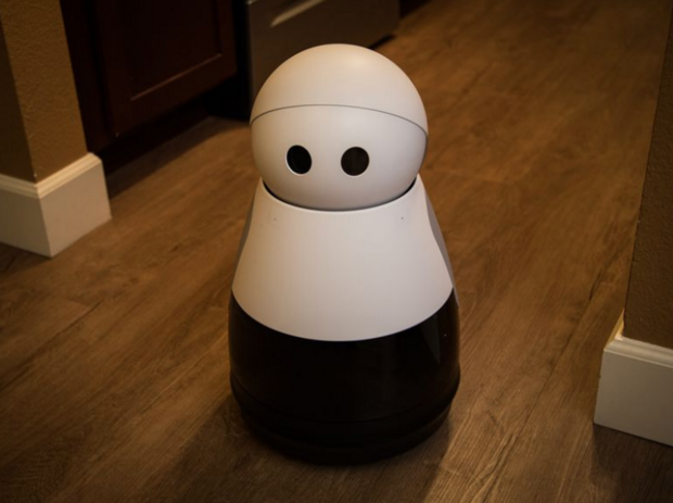 Mayfield Roboticsの「Kuri」

　これは基本的に、自宅を監視するのに使える700ドルのコンパニオンロボットだ。「知能を持つ家庭用ロボット」という説明が付されたこのロボットには、Wi-Fi、Bluetooth、1080pカメラ、顔認識機能、マイク、スピーカー、タッチセンサが搭載されている。また、障害物検知、位置特定、ナビゲーションのための「レーザーを使用したセンサアレイ」に加え、さまざまな床の上を移動できる丈夫な車輪を備えている。音声認識機能も持っているが、「Kuri」自体はしゃべらない。その代わり、ビープ音と表現力豊かな頭と目を使ってコミュニケーションを取る。つまり、「スター・ウォーズ」に出てくるR2-D2のようなものだ。Kuriは文脈や周囲の環境を理解し、人を識別して、顔の表情、頭の動き、そして音で質問に答えられるように作られている。