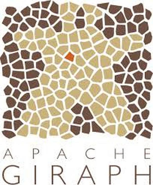 Apache Giraph

　Apache Giraphはインタラクティブなグラフ処理システムで、高い拡張性を実現する。