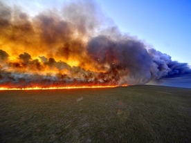 マルウェア「Fireball」の感染数2億5000万台は「誇張」--マイクロソフトが反論