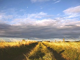 クラウドアレルギーの処方せん--リスクを管理する考えかた