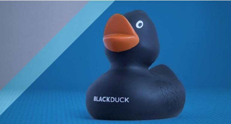 Black Duck