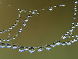 SDNの“いま”を知る--次なる「SD-WAN」とは何か？