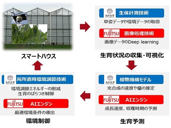 九州大学と富士通 Ai活用した農業生産で共同研究 成長速度や収穫時期