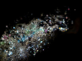 デジタル変革を阻む壁の壊し方