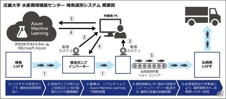 稚魚選別システム概要図（出典：日本マイクロソフト）