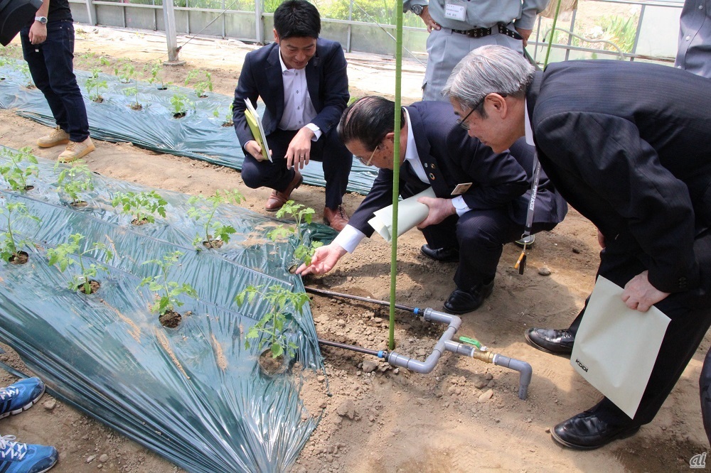 宮城県東松島市、KDDIら協力のもと農業IoTを導入 - ZDNET Japan