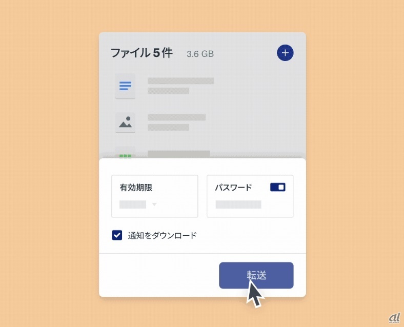 パスワード、有効期限の設定画面（出典：Dropbox Japan）