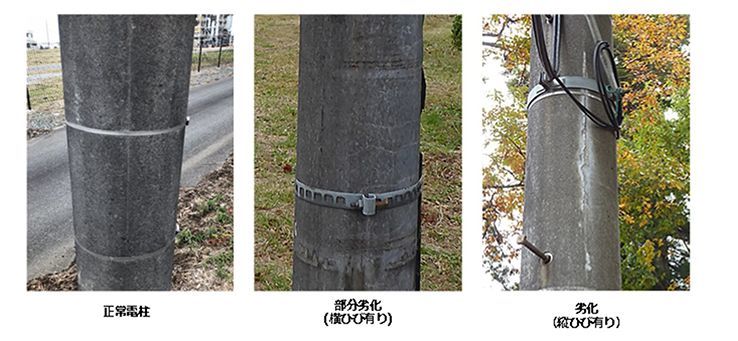 正常電柱と劣化電柱の比較