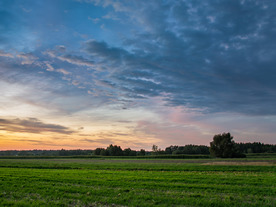 AI活用・エッジ中心の時代を見据えた、デル・テクノロジーズ「PowerEdge」サーバーの3つの思想