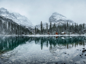 冬景色の「Zoom」背景--雪林や氷の画像で会議にアクセント
