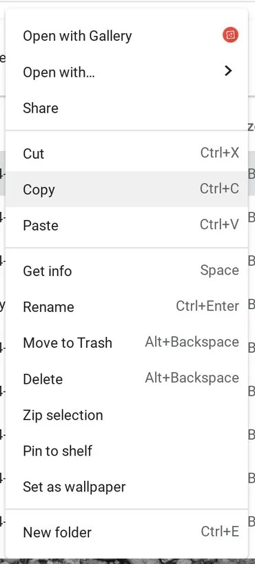 「Files」（ファイル）アプリケーション内でChrome OSのファイルを共有する。