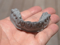 ヤマト運輸、3Dプリンター活用した歯科矯正用マウスピースの製造／配送サービスを開始