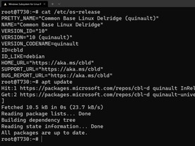 知られざるマイクロソフトのLinuxディストリビューション「CBL-Delridge」