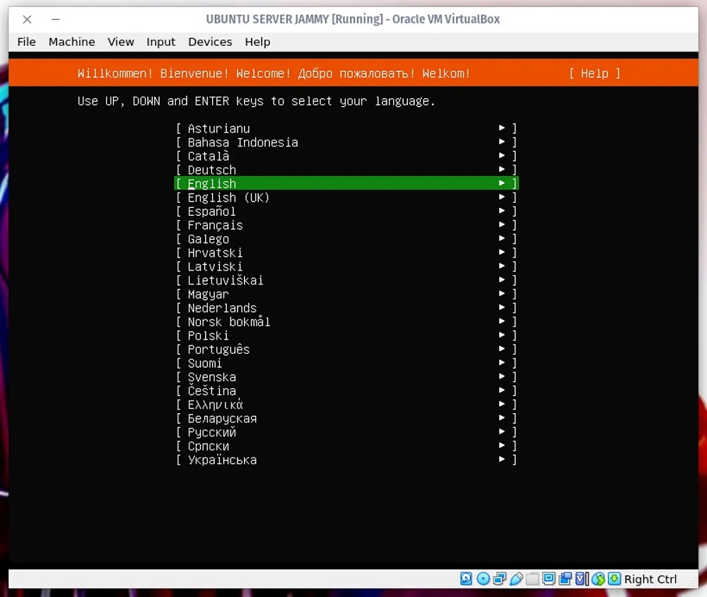 Ubuntu Serverで使用する言語を選択する。