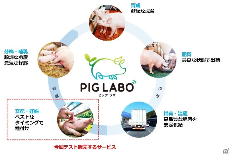 PIG LABOの全体像とPIG LABO Breeding Masterの位置付け