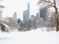 雪景色を「Zoom」会議に--冬の背景画像