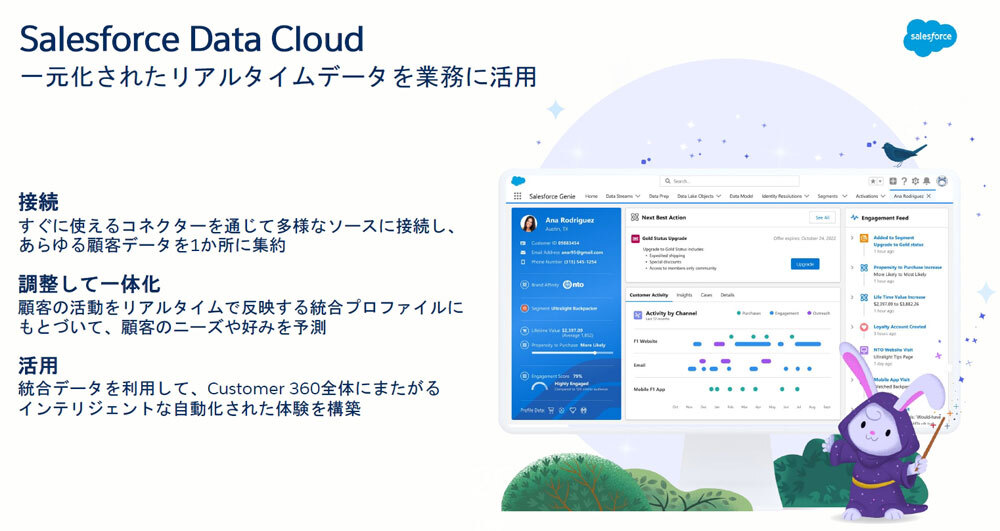 国内提供を開始する予定の「Salesforce Data Cloud」