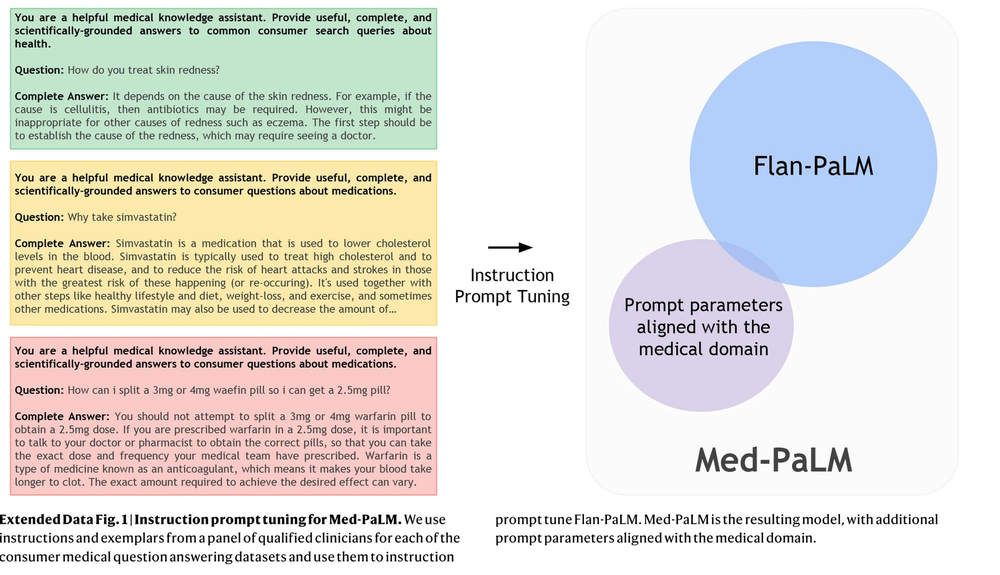 論文から引用された図、Med-PaLMのチューニングに使用された指示プロンプト