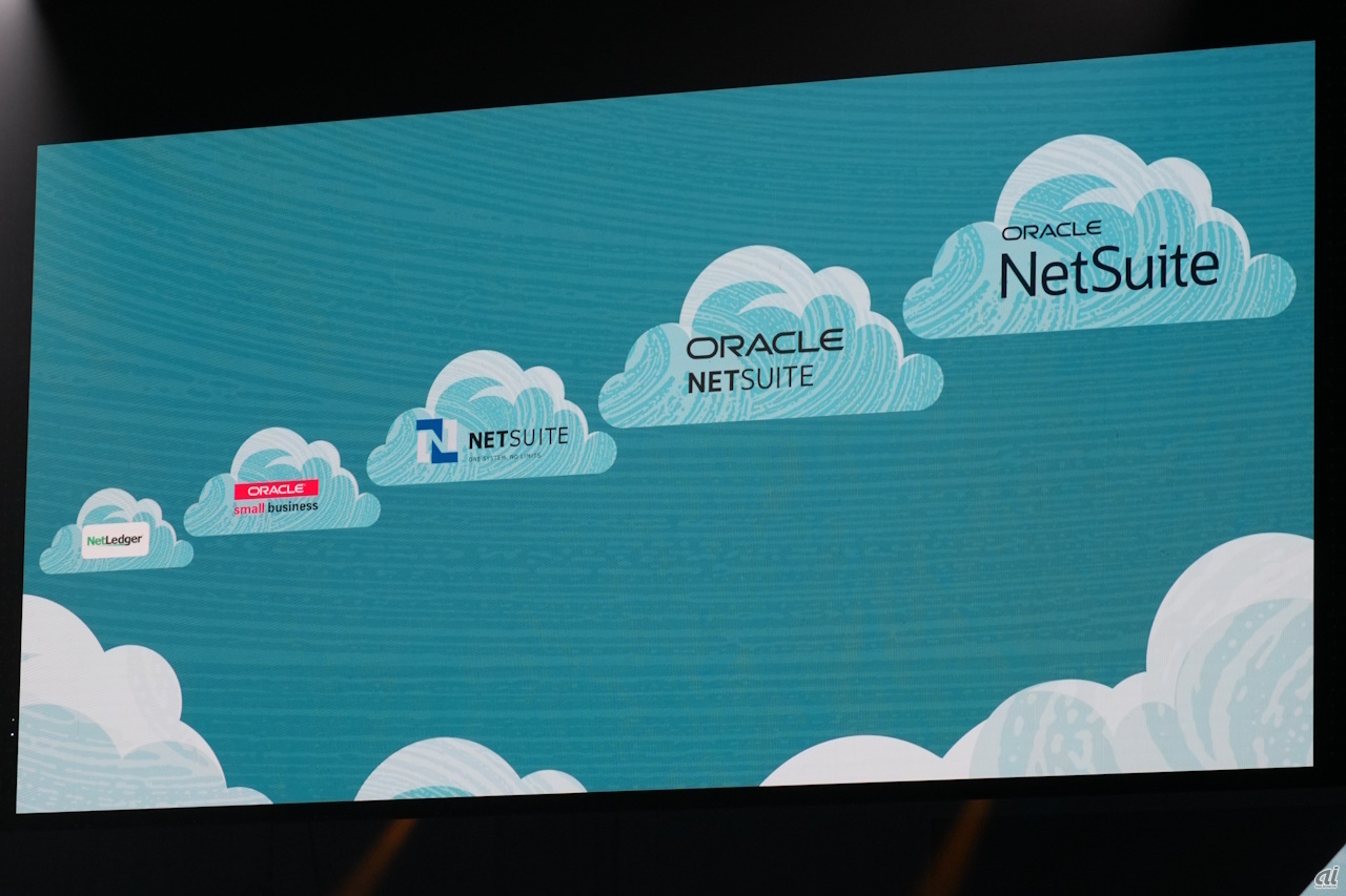 もともとは「NetLedger」という社名だったが、2003年に「NetSuite」に変更された。Oracleによる買収後は「Oracle NetSuite」となった。