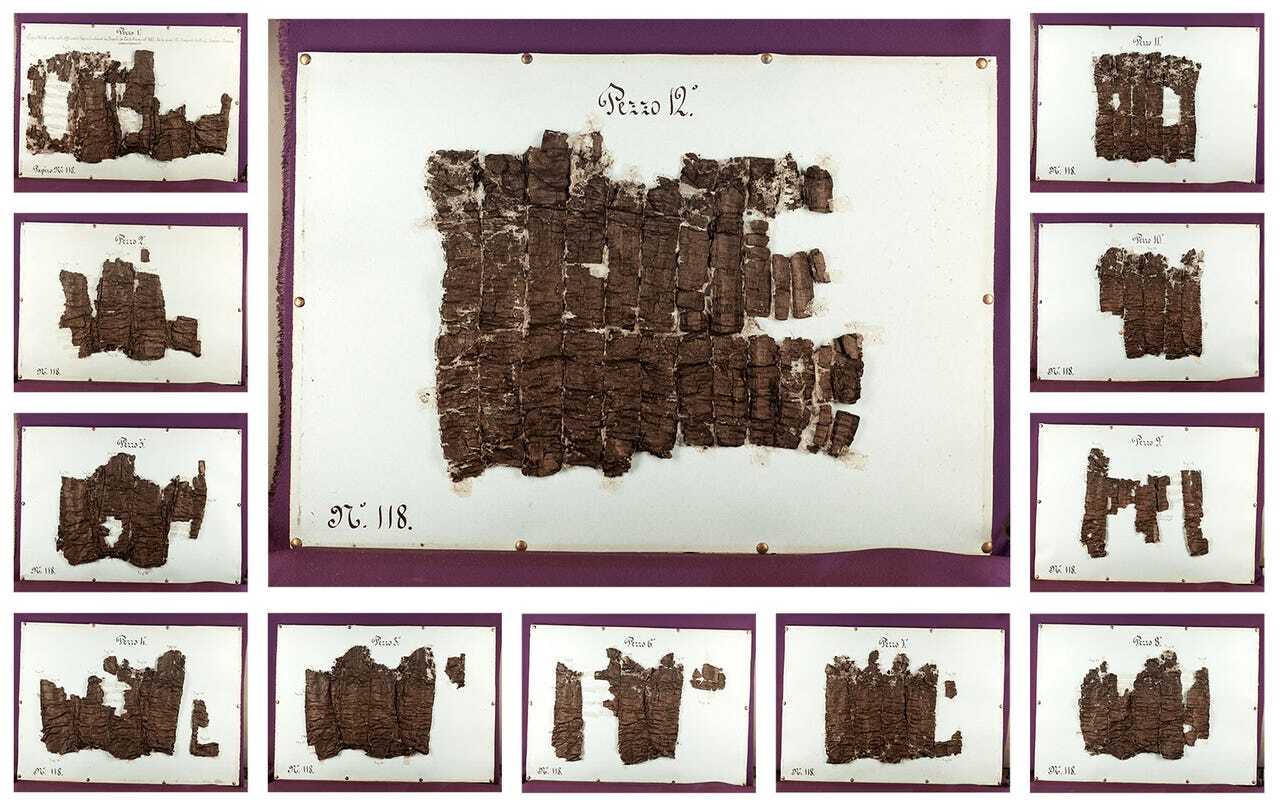開かれたヘルクラネウムパピルスの巻物の12 pezzi（片）。「P.Herc.118」として知られる。これらの集合画像はオックスフォード大学のボドリアン図書館が所有している。提供：Vesuvius Challenge