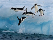 「Linux」ディストリビューションを乗り換える前に確認すべき5つのポイント