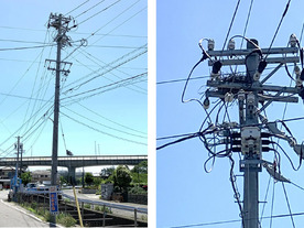 中部電力PG、電柱の鳥の巣発見にポイ活アプリを活用--保守・点検を効率化
