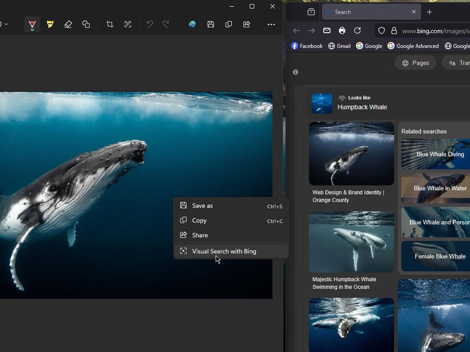 マイクロソフト、「Snipping Tool」に「Bing」連携の画像検索機能を