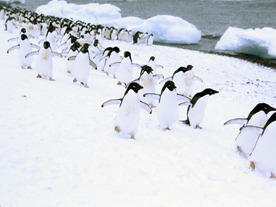 「Linux」が選ばれるようになっている理由--単なる「Windows」離れを超えた潮流へ