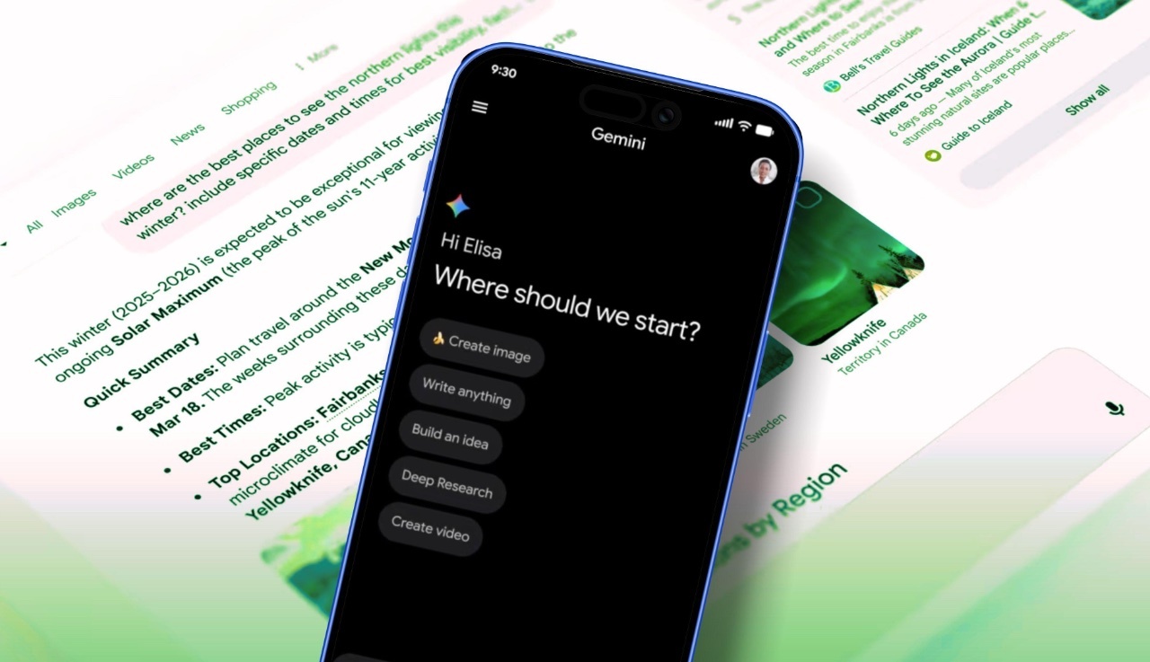 提供:Elyse Betters Picaro